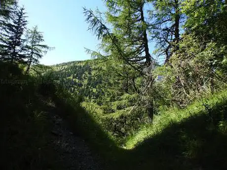 Photo de Sella Bioichia