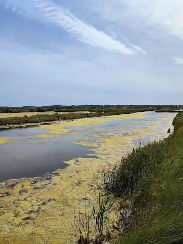 Photo de Marais salants de l'île d'Olonne