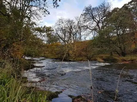 Photo de Avon Falls