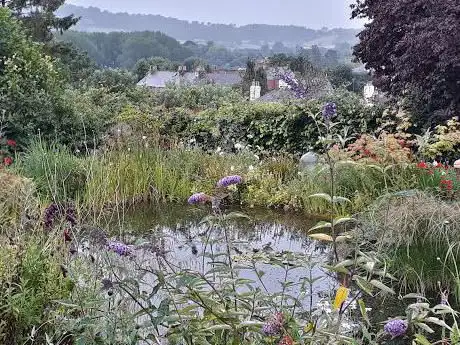 Cheryl Cummings Garden Writer