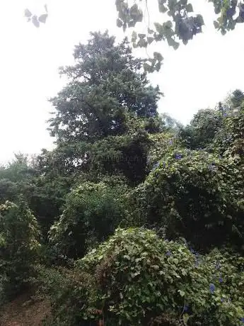 Zona de pícnic del Parc dels Torrents