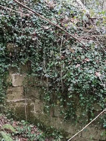 Photo de Ruines du château de Retz autrement appelé chastel de Roye