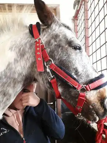 Photo de Centre Equestre Au Chabus