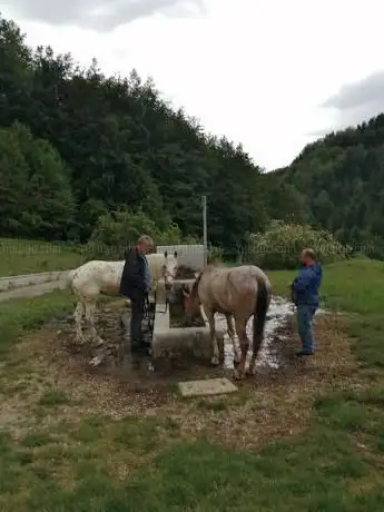 Photo de Associazione Sportiva Dilettantistica Compagnia della Varroccia (Pignola)