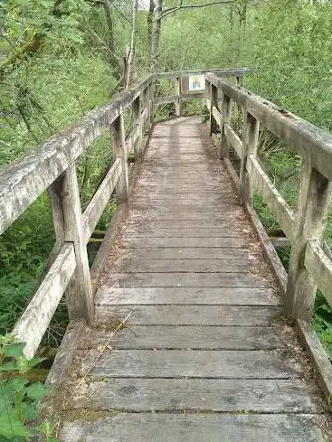 Feuchtgebiet