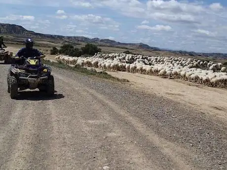 Photo de Canal Eventur Quad