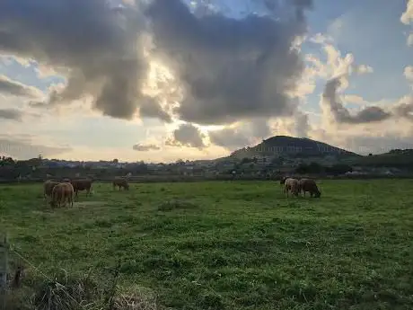 Photo de La Miés - Boo