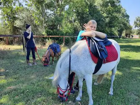 Horse Sharing