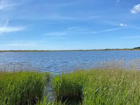 Étang de Trunvel