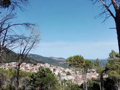 Parco comunale Sa Conca 'e s'Ollastu - Pineta di Arbus