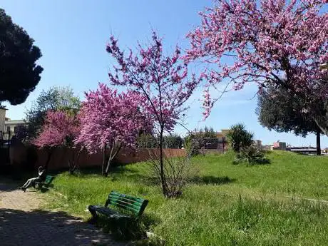 Photo de Parco della pace