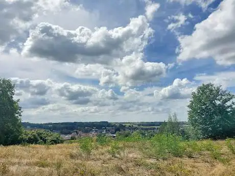 Eikelberg