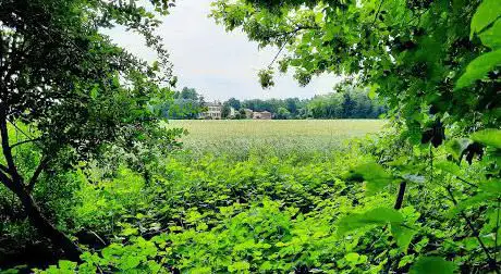 Ciclabile San Donnino