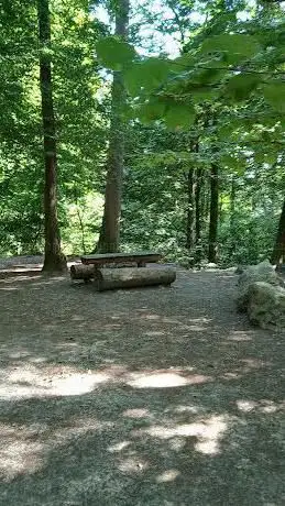 Feuerstelle im Wald