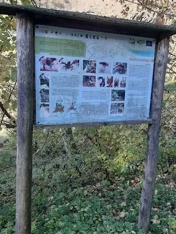 Photo de Riserva Naturale Sorgente Funtanì