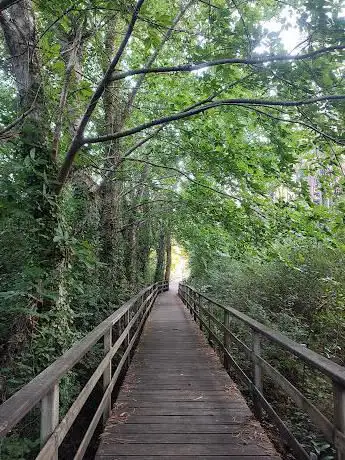 Photo de Paseo fluvial rio Xubia