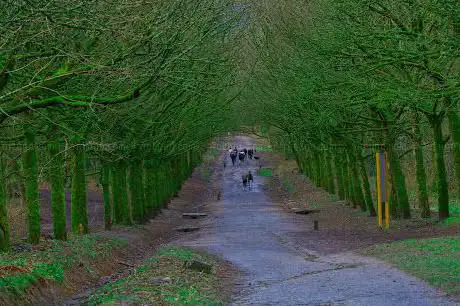 Lever Park