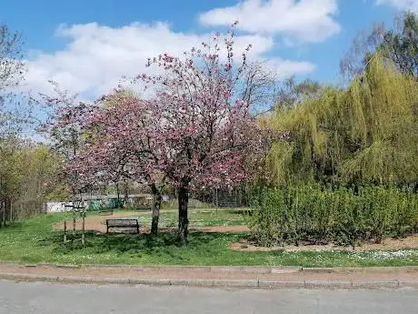 Parc Wahis