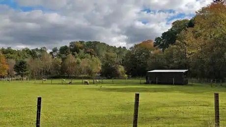 Photo de Dean Castle Riding Centre