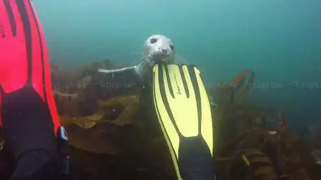 Photo de Sovereign Diving