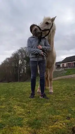 Photo de Les écuries de trangy