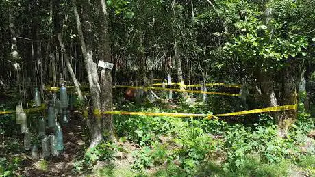 Photo de OUT-DOG ADVENTURE PARK