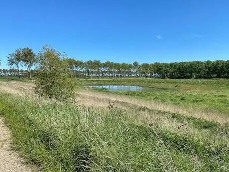 De Knokkert