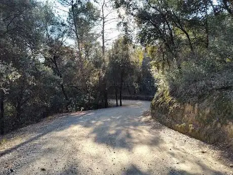 Camí dels Monjos