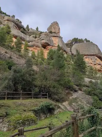 Photo de Cova d'en Ximet