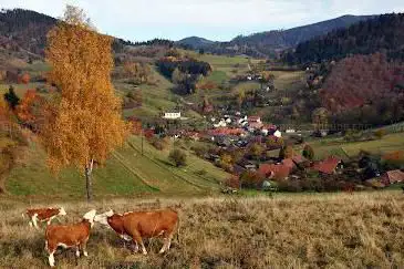 Photo de Aussichtspunkt auf Neuenweg