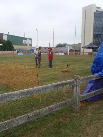 Photo de Urdulizko Futbol Zelaia