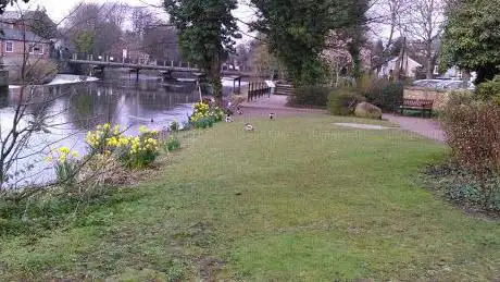 Mill View Garden