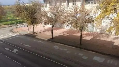 Photo de Centro de Juventud Ayuntamiento de Puertollano