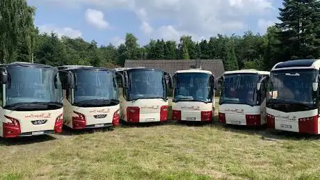 Tempo Cars