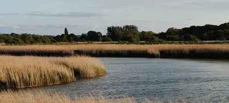 Photo de Public Viewing Platform