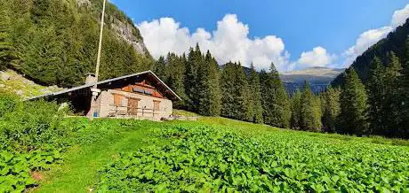 Photo de Malga Leno