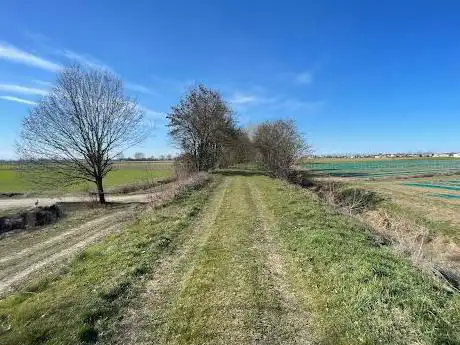 Arginelli di Sabbioneta