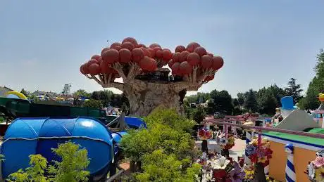 Photo de Albero di Prezzemolo