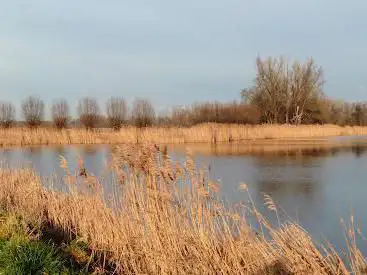 Photo de Canisvliet