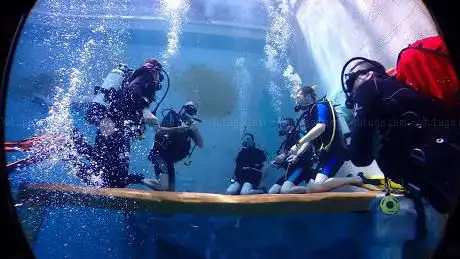 Photo de Diving Plus