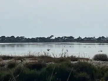 Point de vue sur les flamands roses