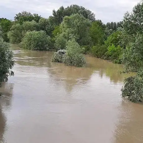 Photo de Percorso natura