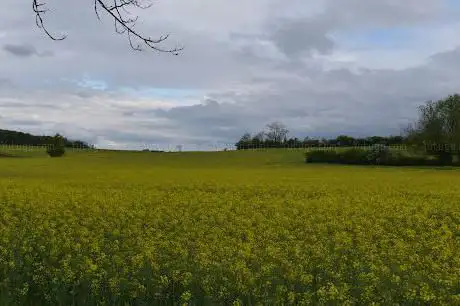 Photo de Fort de Vancia
