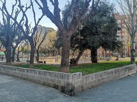 Photo de Plaça Parc Palmeres