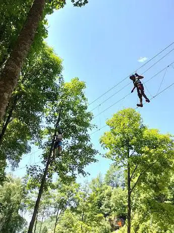 Photo de Monviso Adventure Park