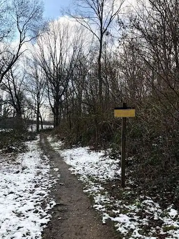 Vrouwenbos