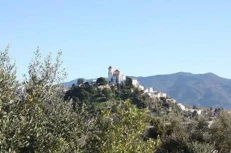 Photo de Abeto del Sur Ecoturismo