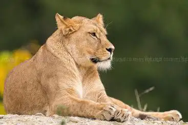 Walter Zoo