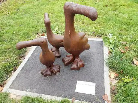 Three Birds Looking
