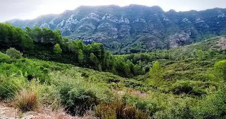 Photo de Paraje Natural Municipal La Casella